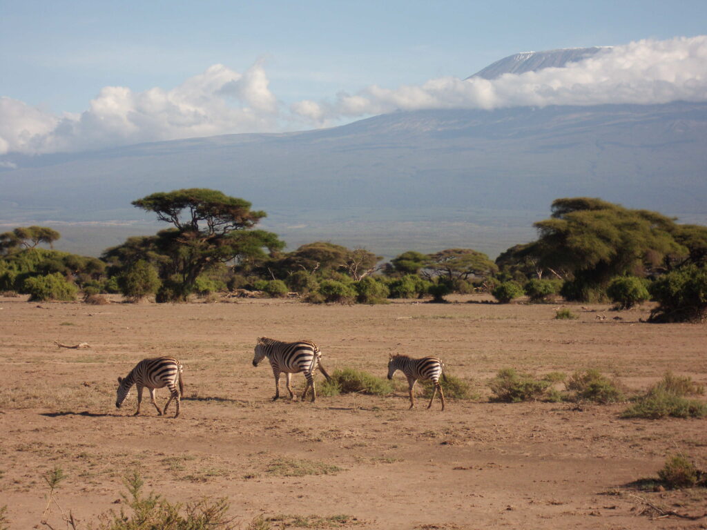 Safari 3 days Tsavo East and Amboseli